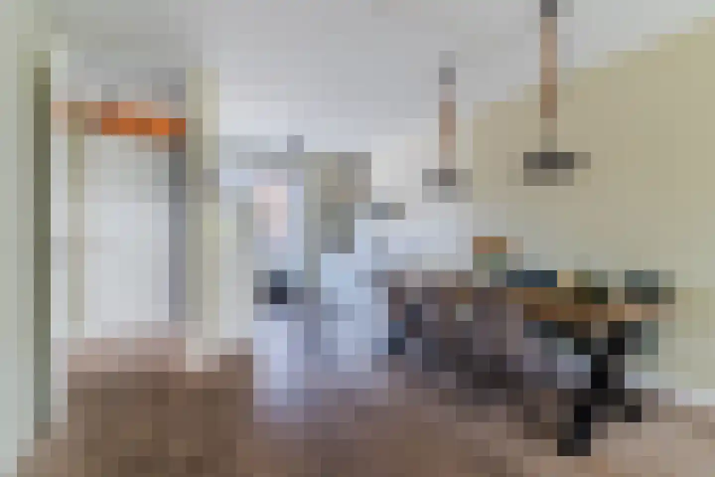 Veenmos 20 Dongen thumbnail 16