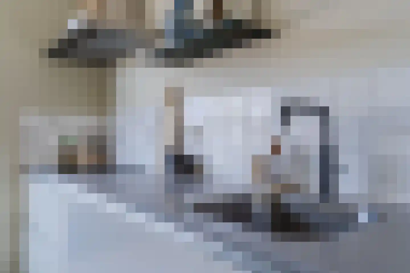 Veenmos 20 Dongen thumbnail 21