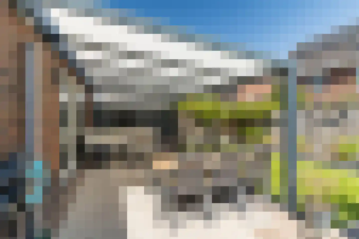 Veenmos 20 Dongen thumbnail 25