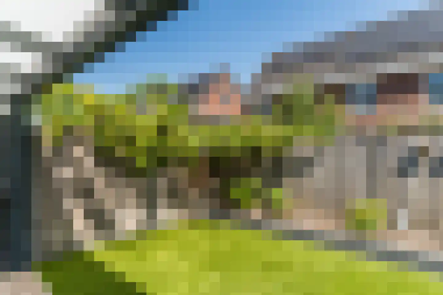Veenmos 20 Dongen thumbnail 28