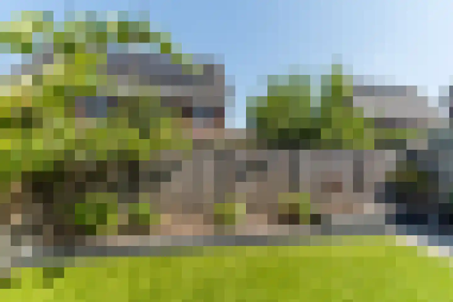 Veenmos 20 Dongen thumbnail 29
