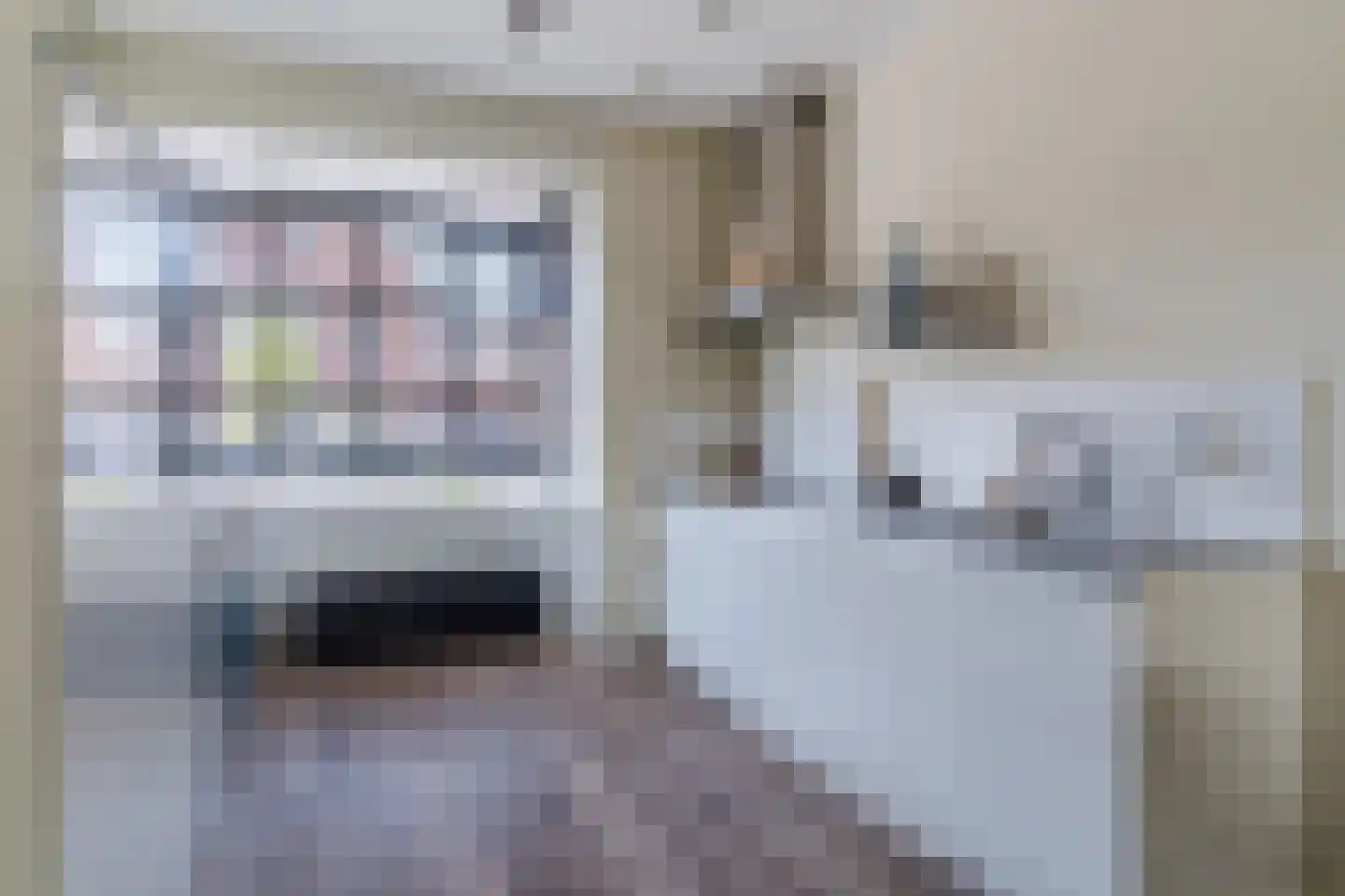 Veenmos 20 Dongen foto 3