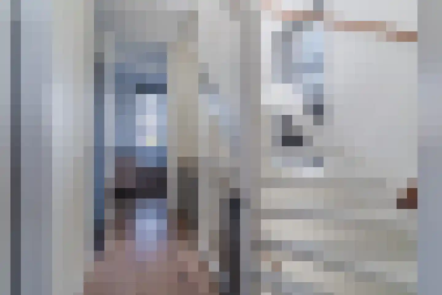 Veenmos 20 Dongen thumbnail 30