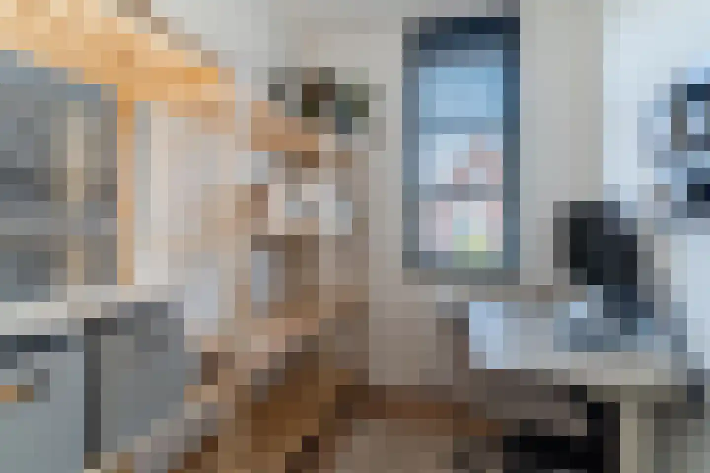 Veenmos 20 Dongen thumbnail 37