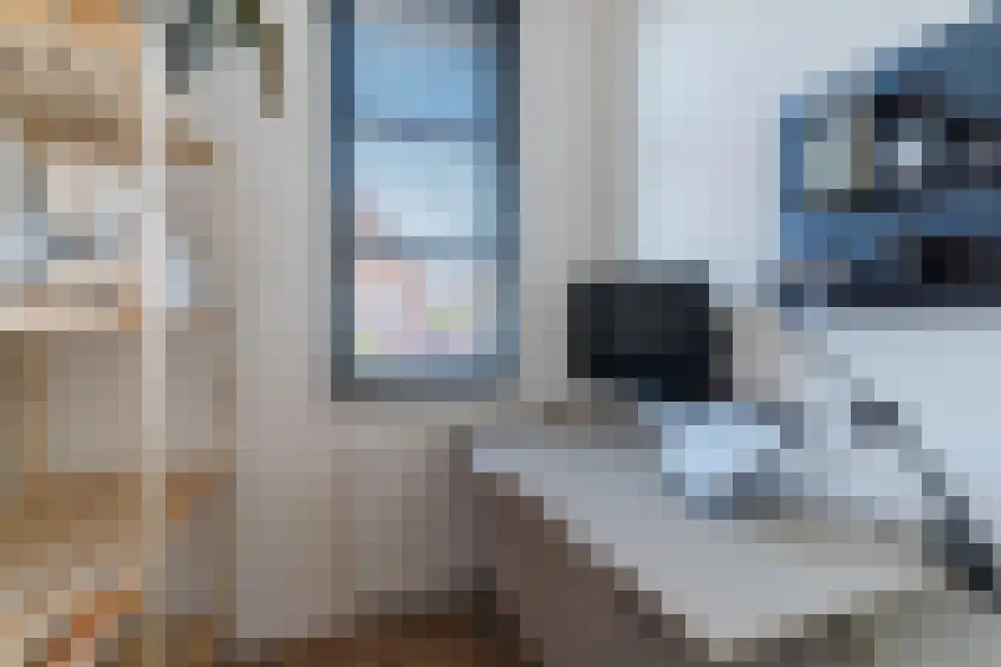 Veenmos 20 Dongen thumbnail 38