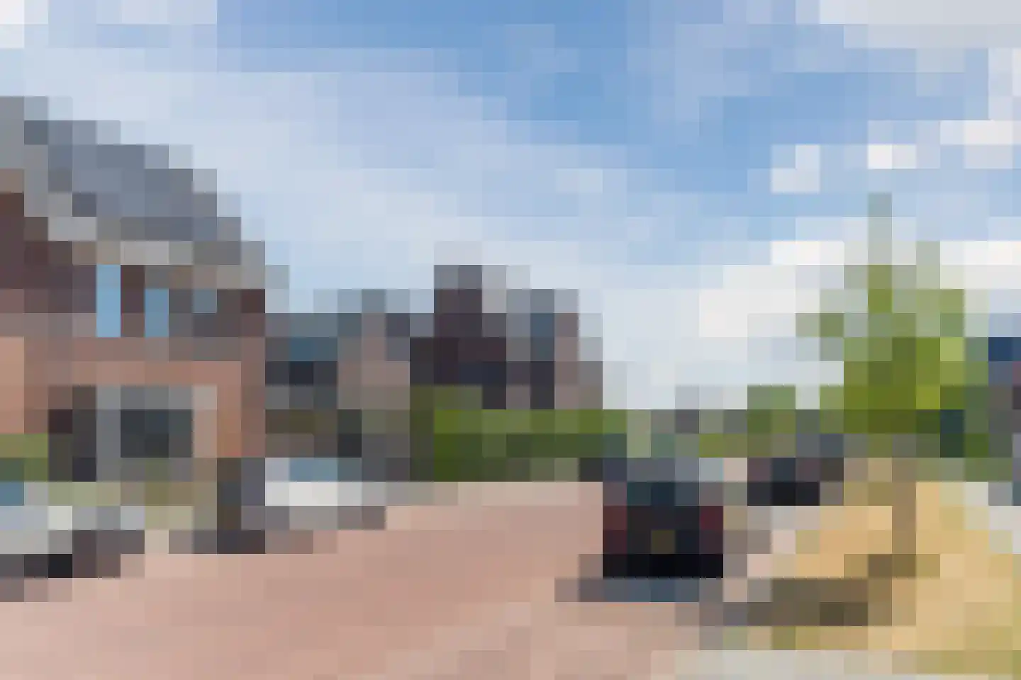 Veenmos 20 Dongen thumbnail 46