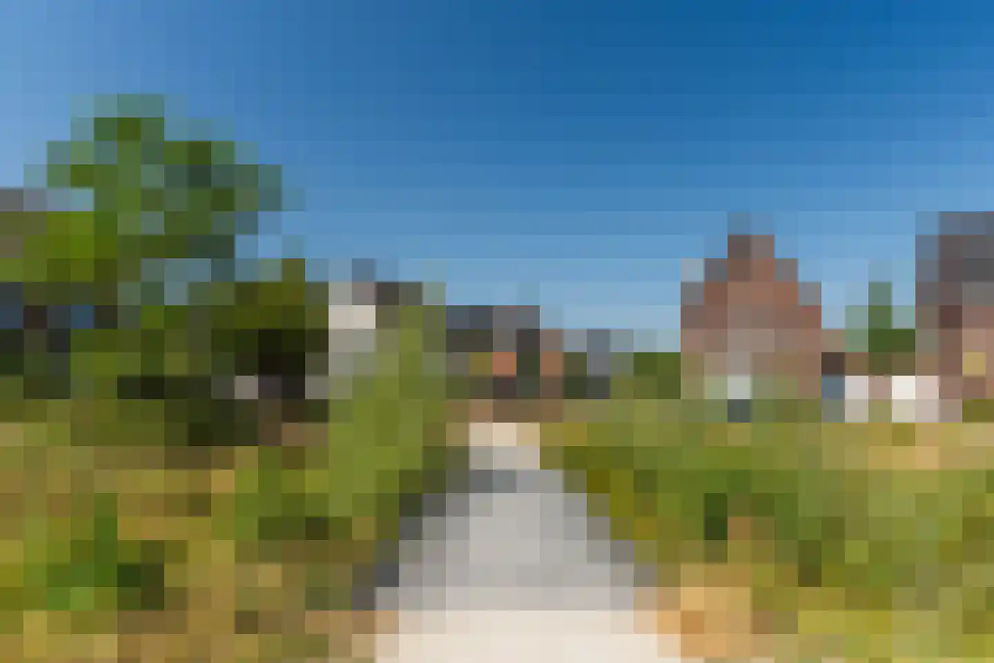 Veenmos 20 Dongen thumbnail 48