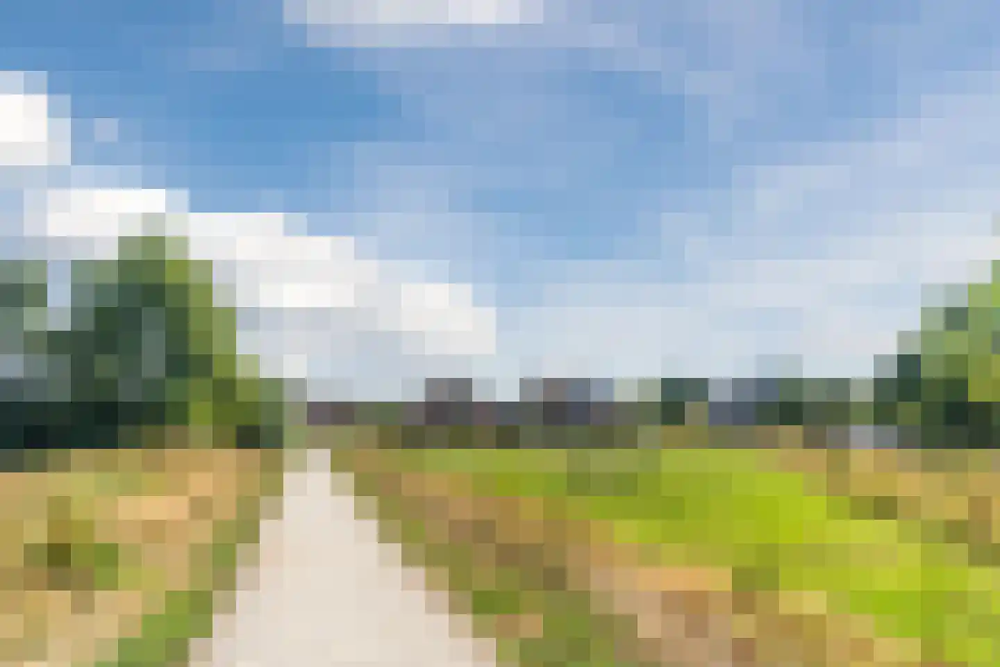 Veenmos 20 Dongen thumbnail 49