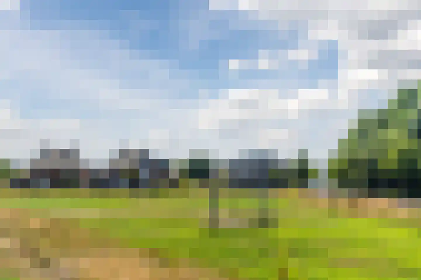 Veenmos 20 Dongen thumbnail 50
