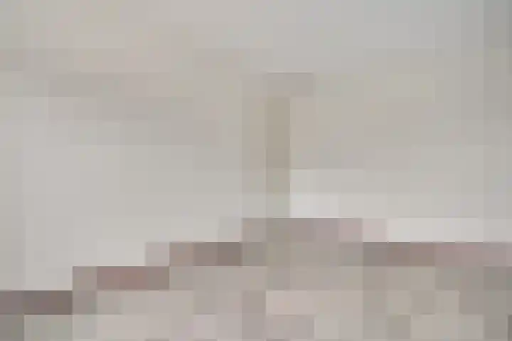 Veenmos 20 Reuver thumbnail 14