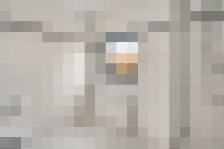 Veenmos 20 Reuver thumbnail 16