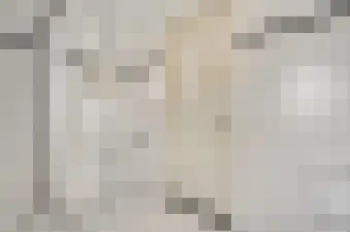 Veenmos 20 Reuver thumbnail 17