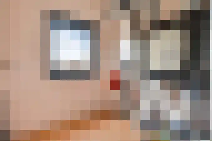 Veenmos 20 Reuver thumbnail 18