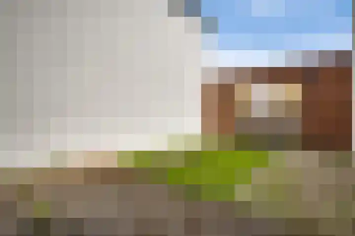 Veenmos 20 Reuver thumbnail 19