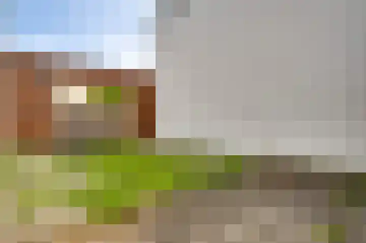 Veenmos 20 Reuver thumbnail 20