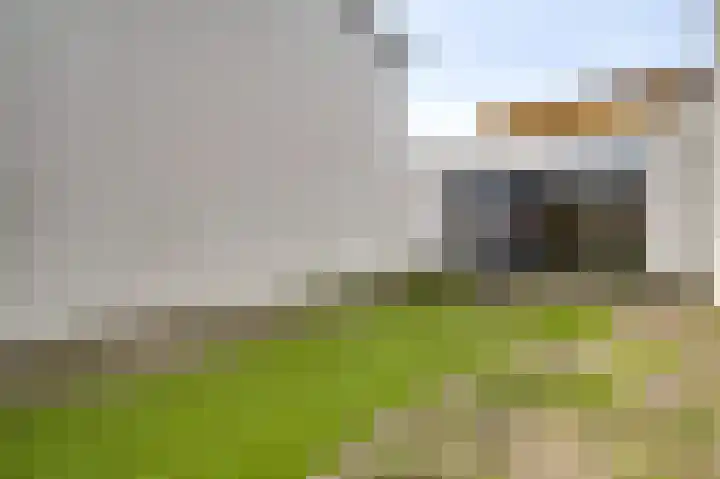 Veenmos 20 Reuver thumbnail 21