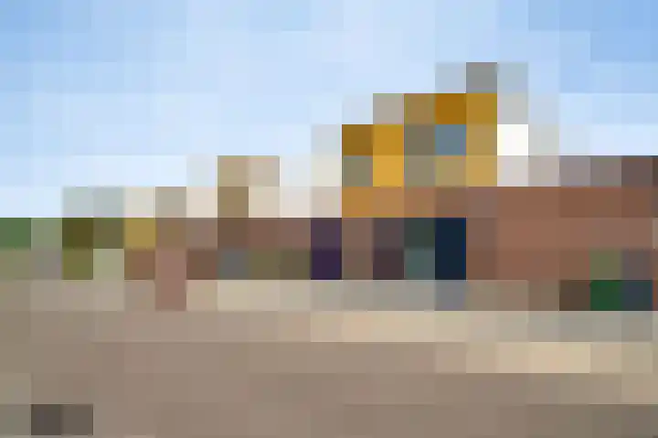 Veenmos 20 Reuver thumbnail 23