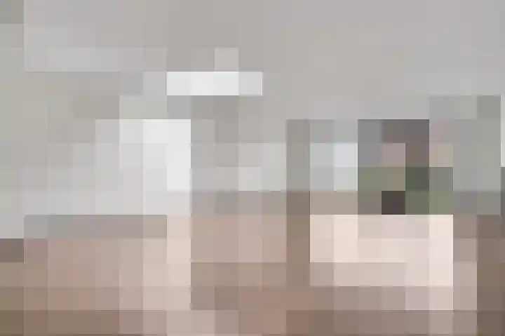 Veenmos 20 Reuver thumbnail 7
