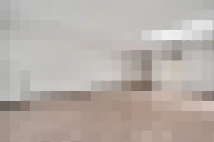 Veenmos 20 Reuver thumbnail 8