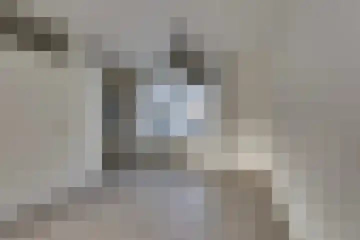 Veenmos 21 Kampen thumbnail 15