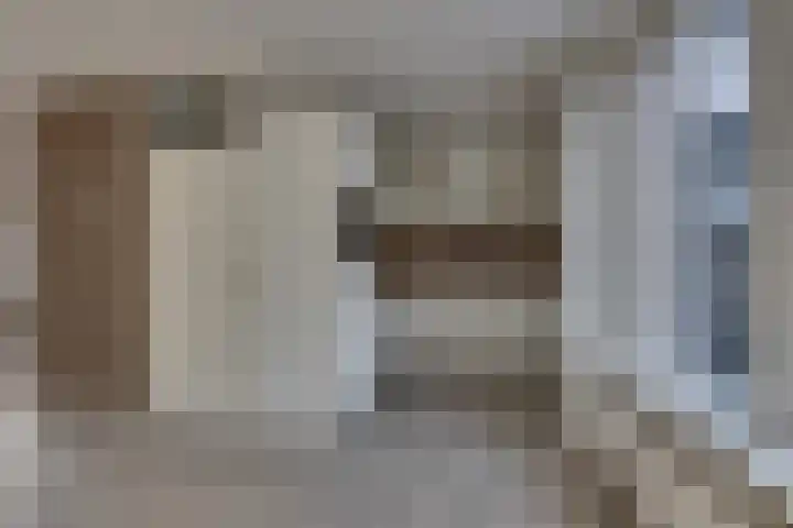 Veenmos 21 Kampen thumbnail 16