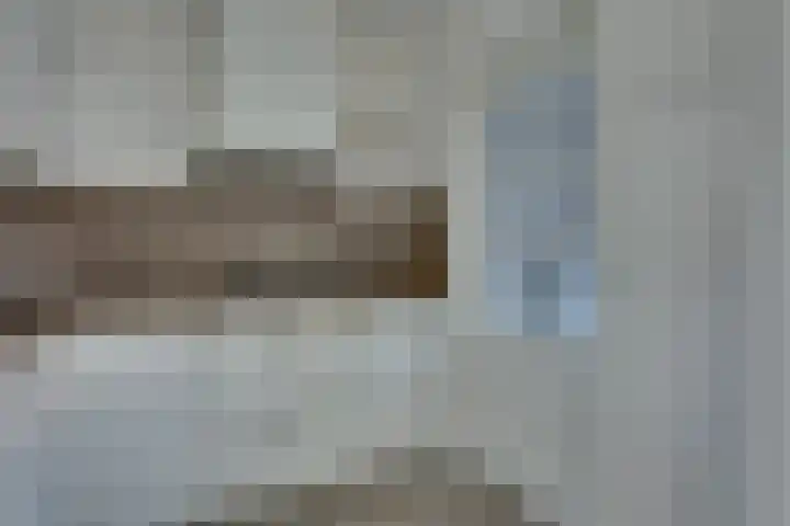 Veenmos 21 Kampen thumbnail 18