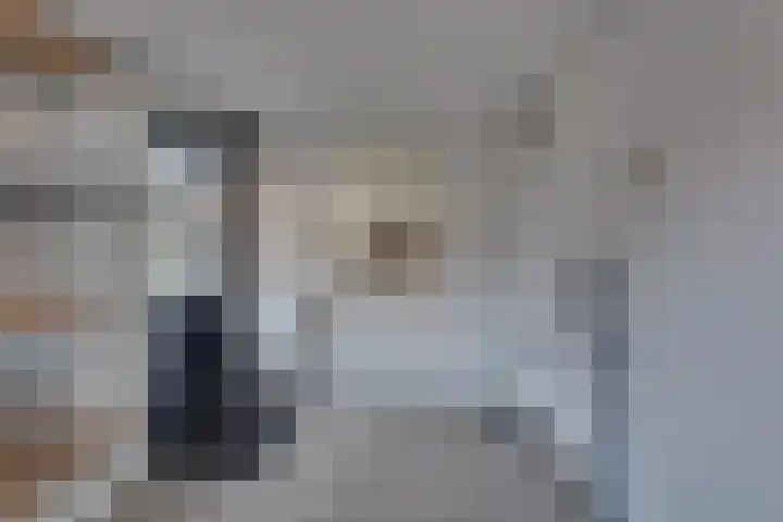 Veenmos 21 Kampen thumbnail 20