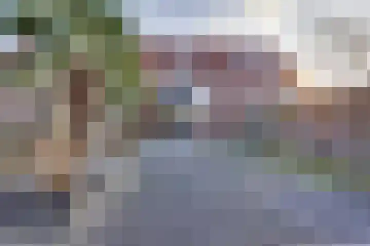 Veenmos 21 Kampen thumbnail 22