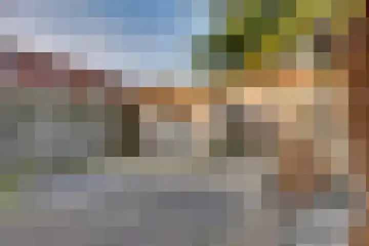 Veenmos 21 Kampen thumbnail 26