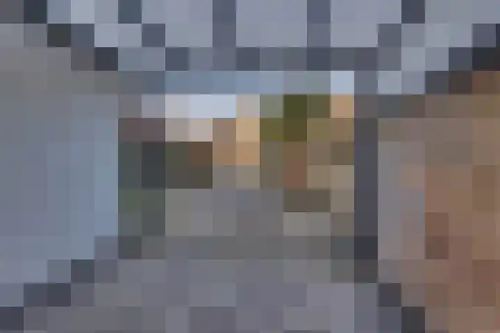 Veenmos 21 Kampen thumbnail 27