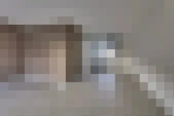 Veenmos 21 Kampen foto 3
