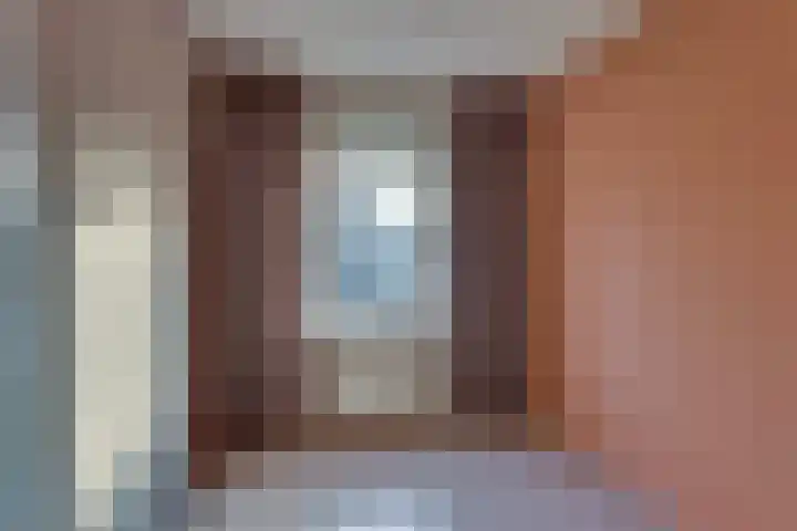 Veenmos 21 Kampen thumbnail 32