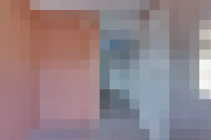 Veenmos 21 Kampen thumbnail 33