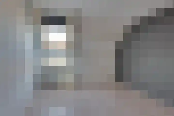 Veenmos 21 Kampen thumbnail 34