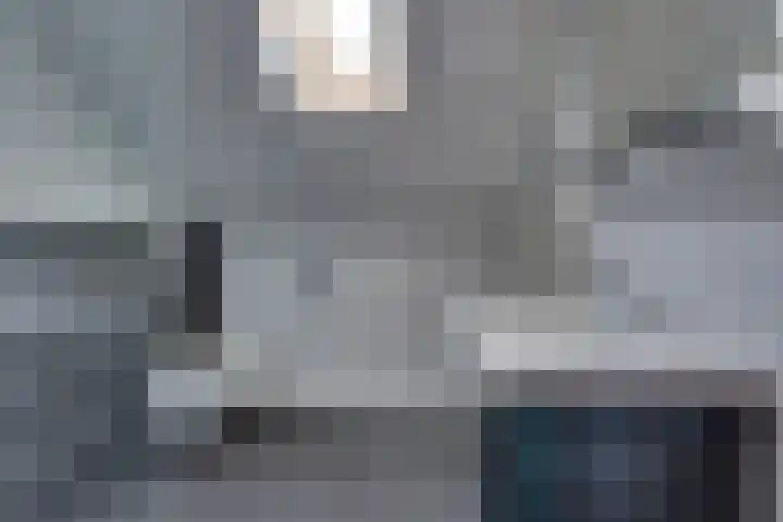 Veenmos 21 Kampen thumbnail 36