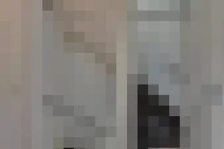 Veenmos 21 Kampen thumbnail 38