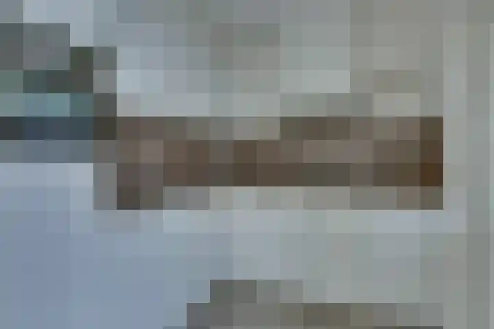 Veenmos 21 Kampen thumbnail 4