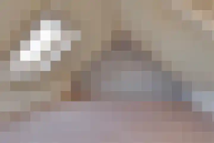 Veenmos 21 Kampen thumbnail 40
