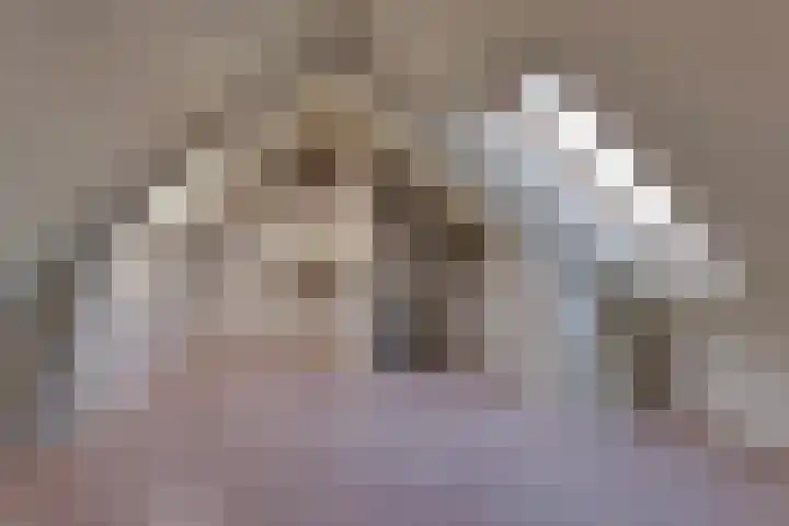 Veenmos 21 Kampen thumbnail 41