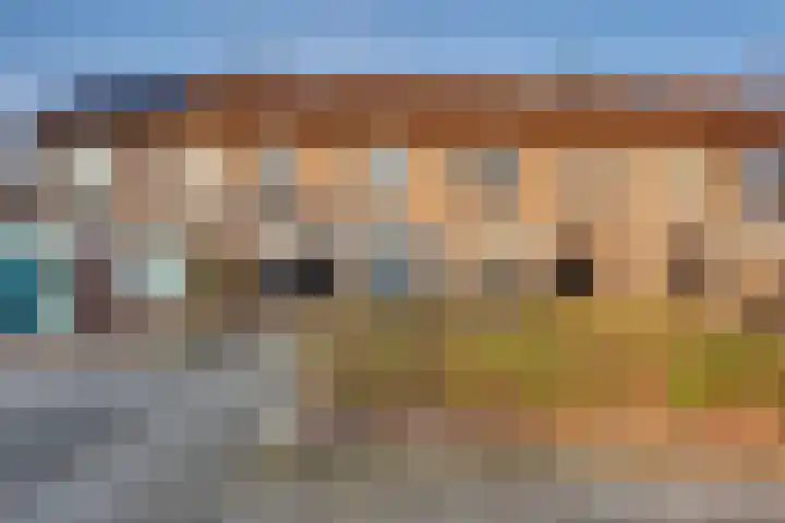 Veenmos 21 Kampen thumbnail 42
