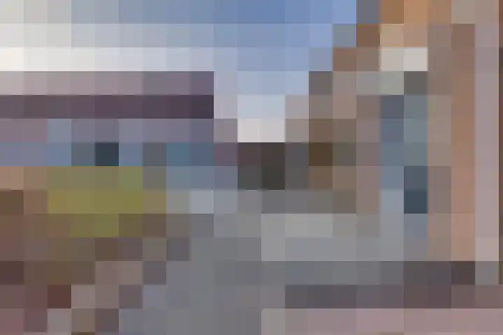 Veenmos 21 Kampen thumbnail 43