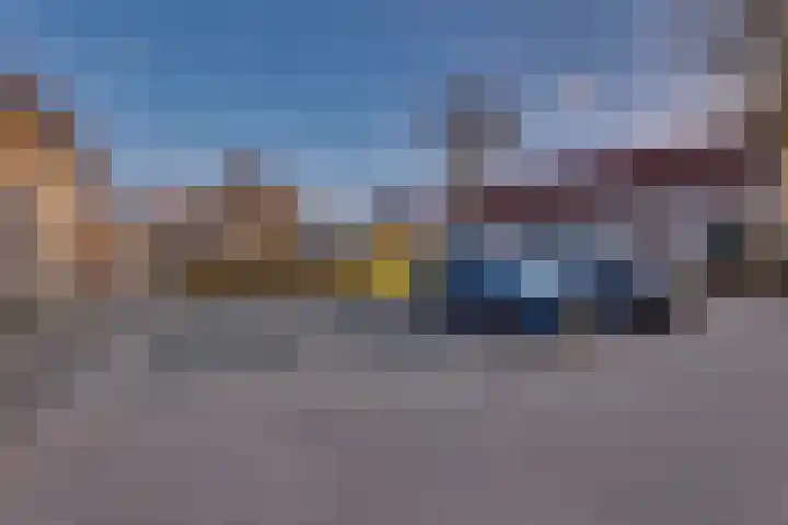Veenmos 21 Kampen thumbnail 44