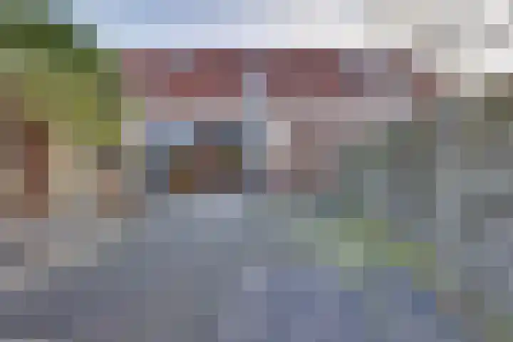 Veenmos 21 Kampen thumbnail 5