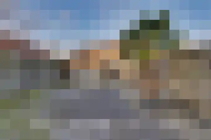 Veenmos 21 Kampen thumbnail 6