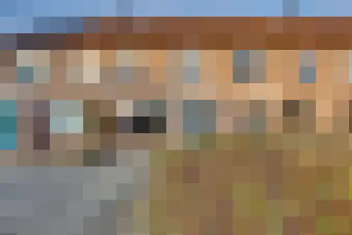 Veenmos 21 Kampen thumbnail 7
