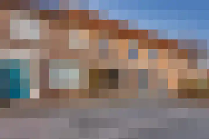Veenmos 21 Kampen thumbnail 8
