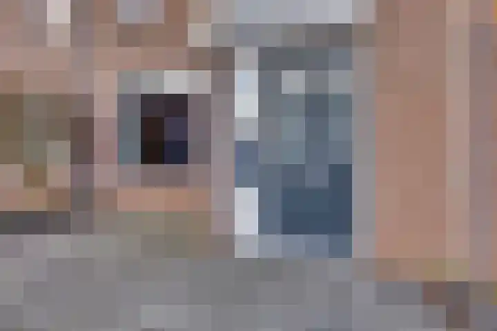 Veenmos 21 Kampen thumbnail 9