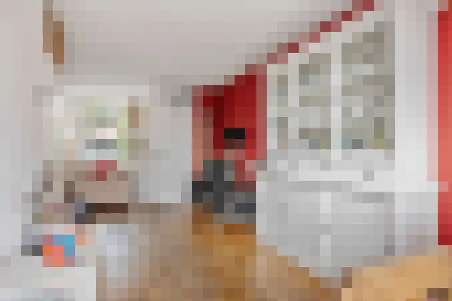 Veenmos 23 Nieuwerkerk aan den IJssel thumbnail 10