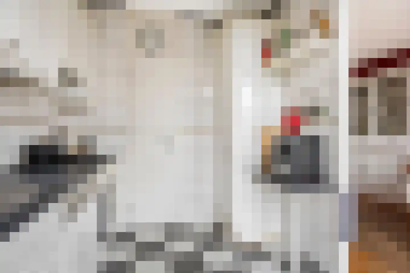 Veenmos 23 Nieuwerkerk aan den IJssel thumbnail 12