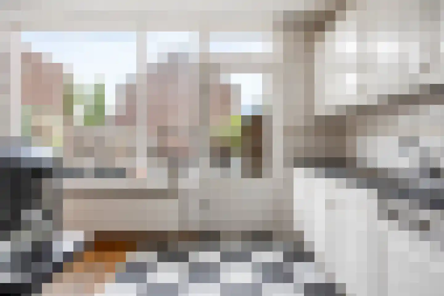 Veenmos 23 Nieuwerkerk aan den IJssel thumbnail 13